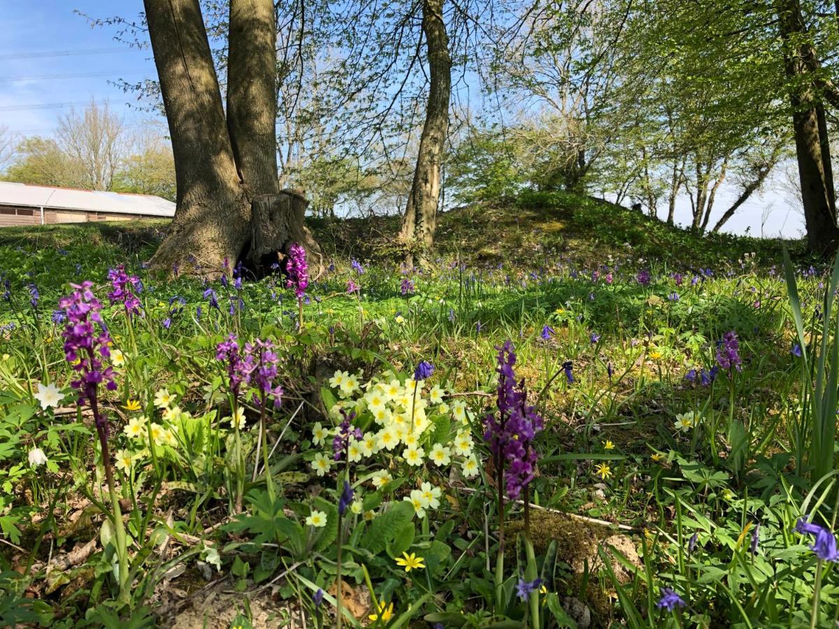 Scallow Campsite Lewes Bagian luar foto